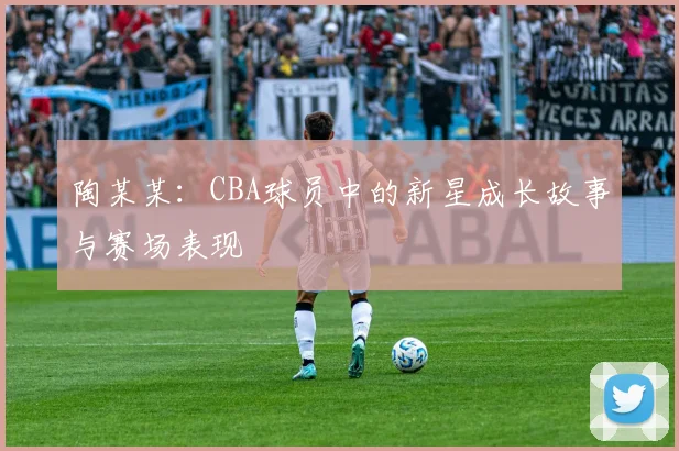 陶某某：CBA球员中的新星成长故事与赛场表现